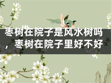 枣树在院子是风水树吗，枣树在院子里好不好