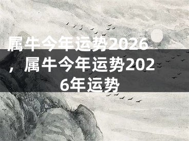 属牛今年运势2026，属牛今年运势2026年运势
