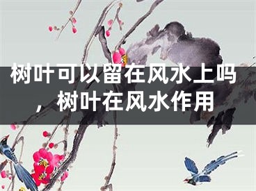 树叶可以留在风水上吗，树叶在风水作用