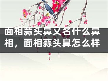 面相蒜头鼻又名什么鼻相，面相蒜头鼻怎么样
