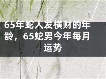 65年蛇人发横财的年龄，65蛇男今年每月运势