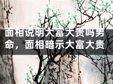 面相说明大富大贵吗男命,面相暗示大富大贵