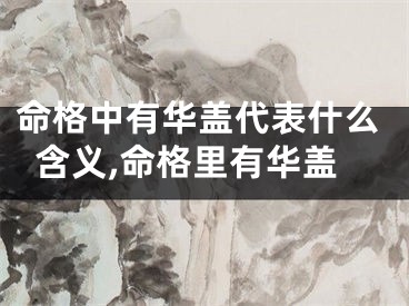 命格中有华盖代表什么含义,命格里有华盖
