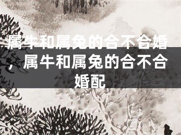 属牛和属兔的合不合婚，属牛和属兔的合不合婚配