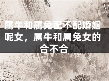 属牛和属兔配不配婚姻呢女，属牛和属兔女的合不合