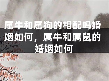 属牛和属狗的相配吗婚姻如何，属牛和属鼠的婚姻如何