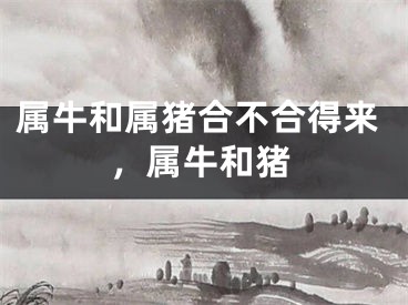 属牛和属猪合不合得来,属牛和猪