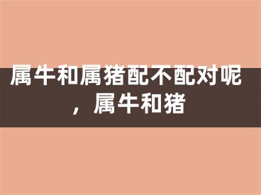 属牛和属猪配不配对呢,属牛和猪