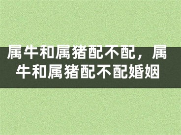 属牛和属猪配不配，属牛和属猪配不配婚姻