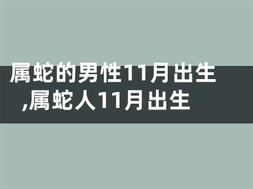 属蛇的男性11月出生,属蛇人11月出生