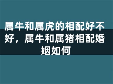 属牛和属虎的相配好不好，属牛和属猪相配婚姻如何