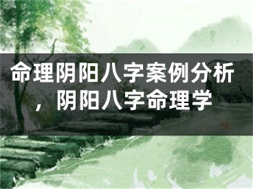 命理阴阳八字案例分析，阴阳八字命理学