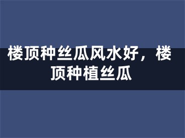 楼顶种丝瓜风水好，楼顶种植丝瓜