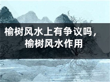 榆树风水上有争议吗，榆树风水作用