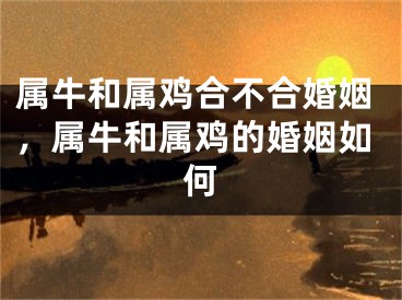 属牛和属鸡合不合婚姻，属牛和属鸡的婚姻如何