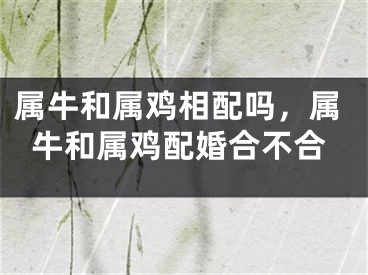 属牛和属鸡相配吗，属牛和属鸡配婚合不合