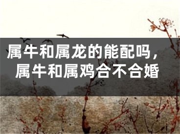 属牛和属龙的能配吗，属牛和属鸡合不合婚