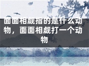 面面相觑指的是什么动物，面面相觑打一个动物