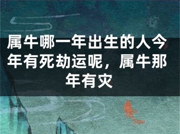 属牛哪一年出生的人今年有死劫运呢，属牛那年有灾