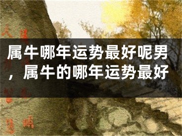 属牛哪年运势最好呢男，属牛的哪年运势最好