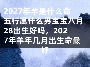 2027年羊是什么命五行属什么男宝宝八月28出生好吗,2027年羊年几月出生命最好
