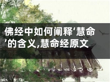 佛经中如何阐释‘慧命’的含义,慧命经原文