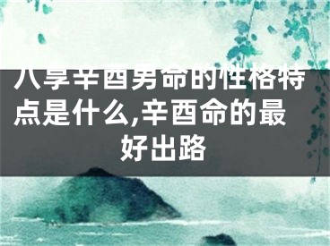 八享辛酉男命的性格特点是什么,辛酉命的最好出路
