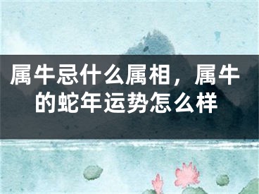 属牛忌什么属相，属牛的蛇年运势怎么样