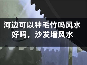 河边可以种毛竹吗风水好吗，沙发墙风水
