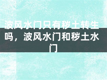 波风水门只有秽土转生吗，波风水门和秽土水门