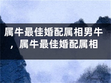 属牛最佳婚配属相男牛，属牛最佳婚配属相
