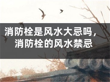 消防栓是风水大忌吗，消防栓的风水禁忌