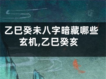 乙巳癸未八字暗藏哪些玄机,乙巳癸亥