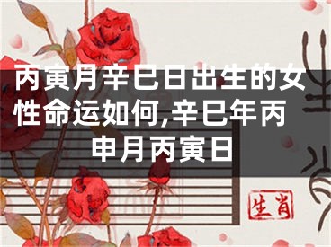丙寅月辛巳日出生的女性命运如何,辛巳年丙申月丙寅日