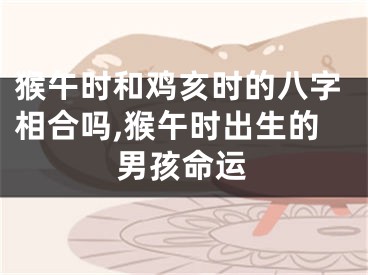猴午时和鸡亥时的八字相合吗,猴午时出生的男孩命运