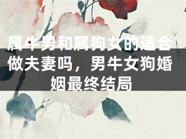 属牛男和属狗女的适合做夫妻吗，男牛女狗婚姻最终结局
