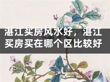 湛江买房风水好，湛江买房买在哪个区比较好