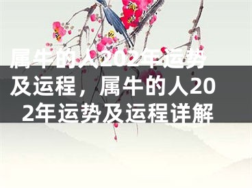 属牛的人202年运势及运程，属牛的人202年运势及运程详解