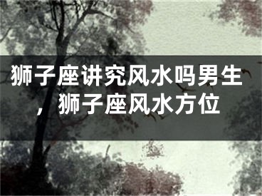 狮子座讲究风水吗男生，狮子座风水方位
