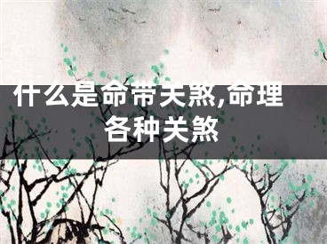 什么是命带关煞,命理各种关煞
