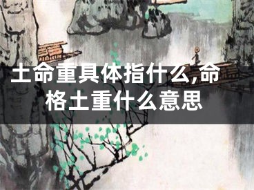 土命重具体指什么,命格土重什么意思