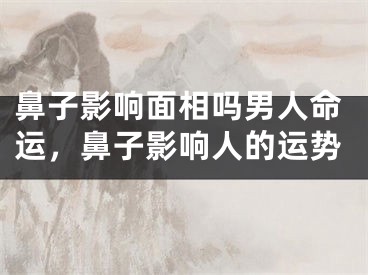鼻子影响面相吗男人命运，鼻子影响人的运势