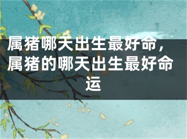 属猪哪天出生最好命，属猪的哪天出生最好命运