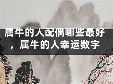 属牛的人配偶哪些最好，属牛的人幸运数字
