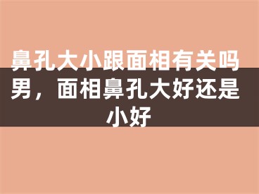 鼻孔大小跟面相有关吗男，面相鼻孔大好还是小好