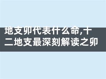 地支卯代表什么命,十二地支最深刻解读之卯