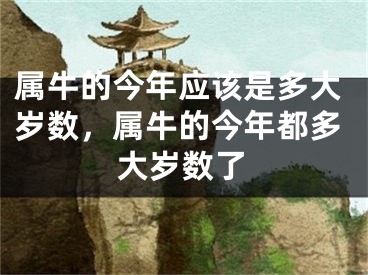 属牛的今年应该是多大岁数，属牛的今年都多大岁数了