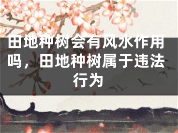 田地种树会有风水作用吗，田地种树属于违法行为