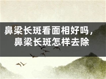 鼻梁长斑看面相好吗，鼻梁长斑怎样去除