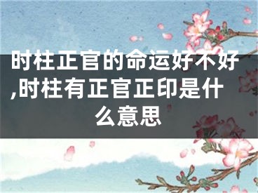 时柱正官的命运好不好,时柱有正官正印是什么意思
